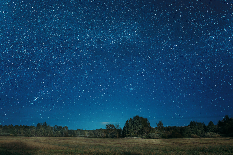Bright stars light up the night sky over a large field below.