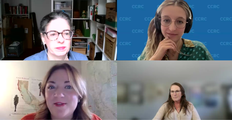 A screenshot of four women speakers during a webinar.